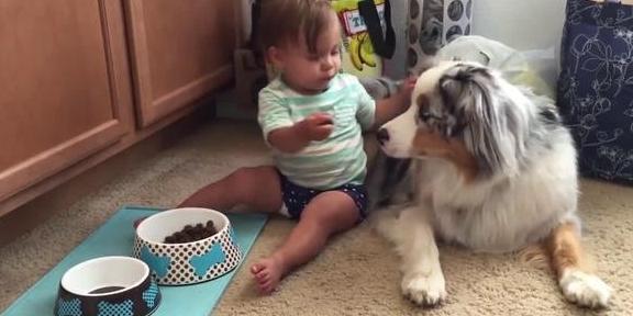 幼犬快不行的征兆，狗浑身无力发软像要死了一样（狗狗临终前的几大“征兆”）