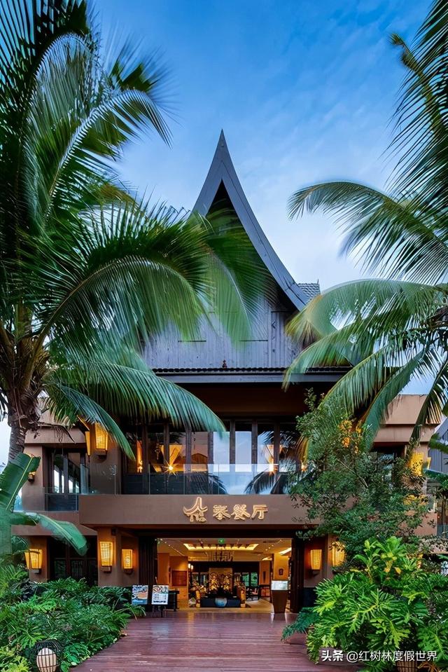 lafetto是什么运动品牌，LA运动品牌（深耕海南，助力自贸港建设）