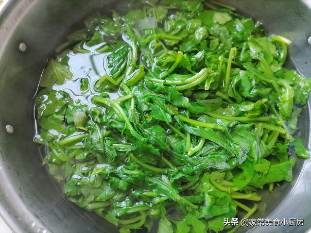 萝卜苗需要焯水吗，水萝卜需要焯水吗（间苗间出来的萝卜苗吗）