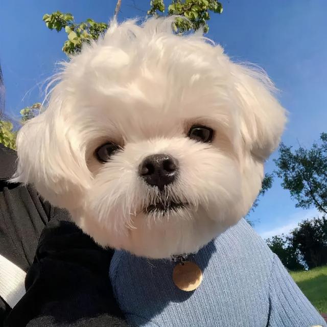 好看闺头♡，微信头像，好看闺头♡（一组超好看的闺蜜头像集）