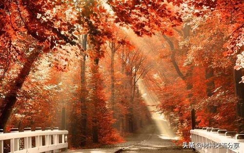提纲是什么意思，提纲的写法和格式（撰写公文写作6个基本思路之三）
