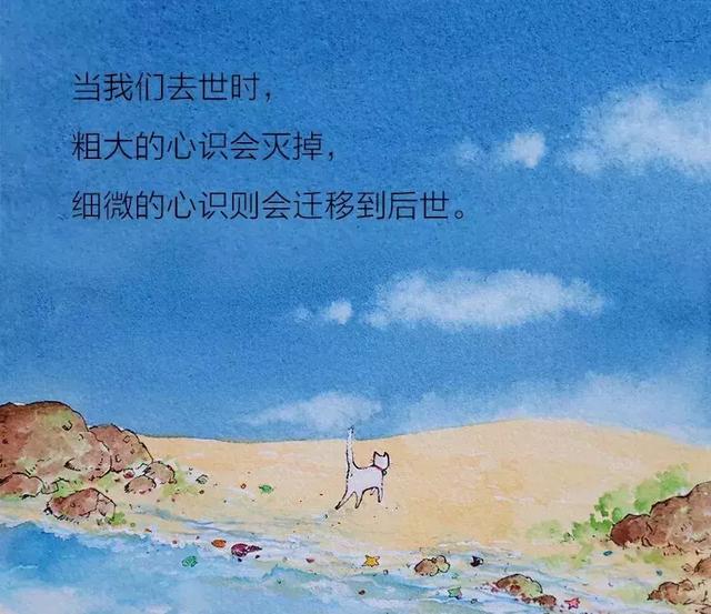 妙湛总持不动尊是什么意思，妙沾总持不动尊（问禅：业力是个什么鬼）