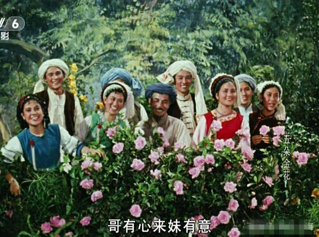 五朵金花演员表，五朵金花演员表杨丽坤（你会想起杨丽坤的阿鹏哥）