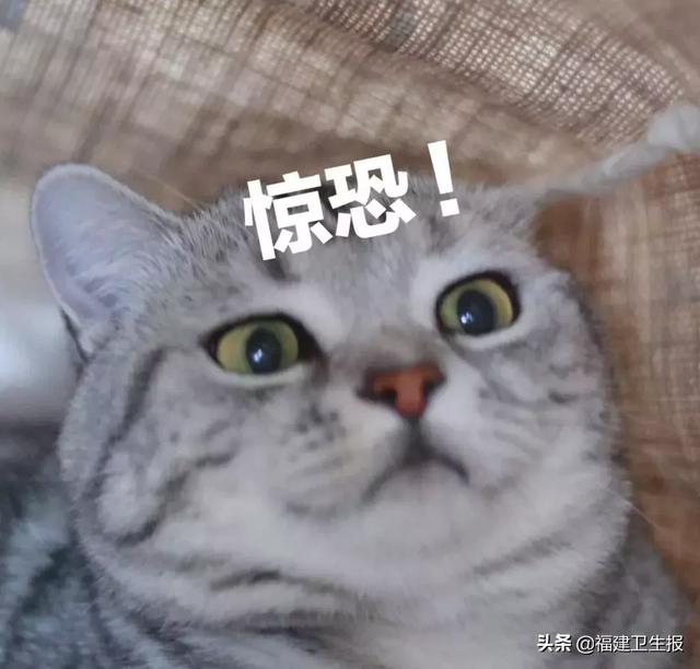 隐形眼镜日抛是什么意思，医生靠显微镜开始“地毯式”搜寻……