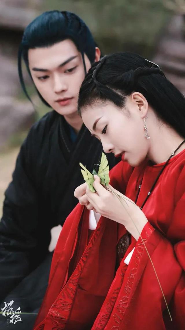 白鹿演过的电视剧，许凯与白鹿一起演的电视剧叫什么名字（励志演员白鹿3年8部女主戏每部都很火）