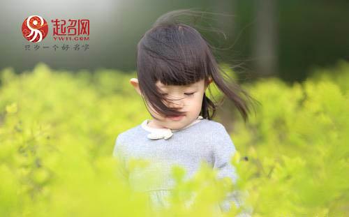 易安居士 是指，易安居士,香山居士,六一居士,青莲居士分别是谁（最有书香气息的宝宝美名）