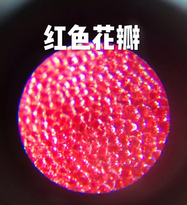 儿童科学探索显微镜，启发孩子科学探索思维
