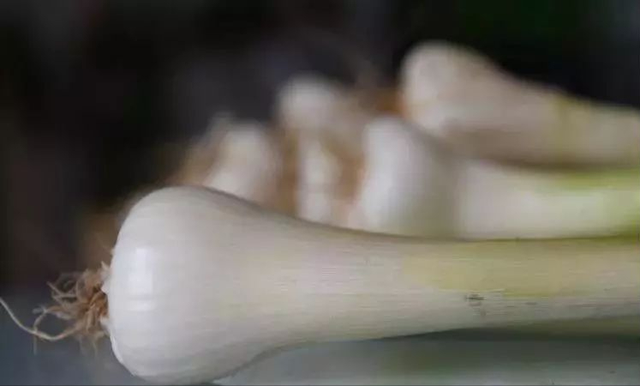 什么是卷心莴苣，卷心莴苣图片（古代邢台人最爱吃的几种蔬菜）