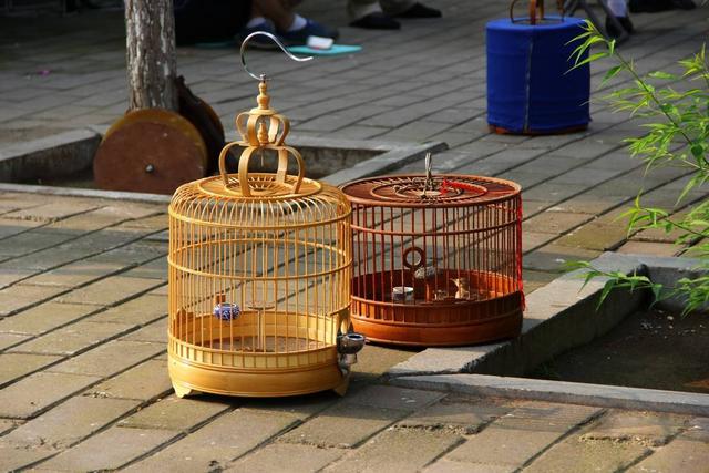 群昵称是什么，群昵称是什么好（快来看看这些有意思的群名称）