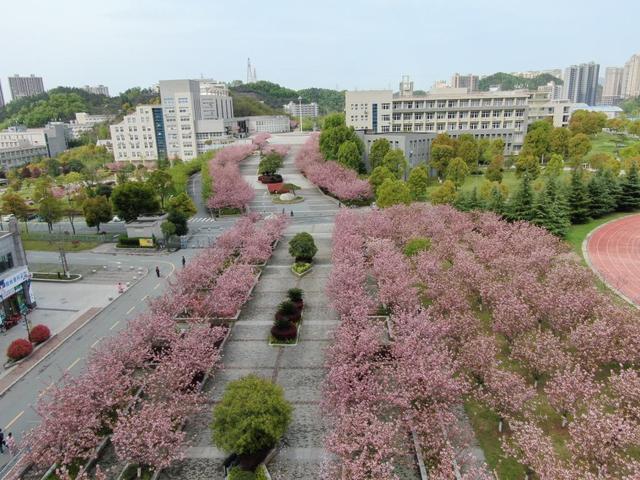 十堰有哪些大学，十堰有哪些大学二本有哪些大学（十堰有所大学很多人没听过）