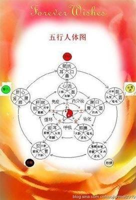 五行金多代表什么，身体健康合家幸