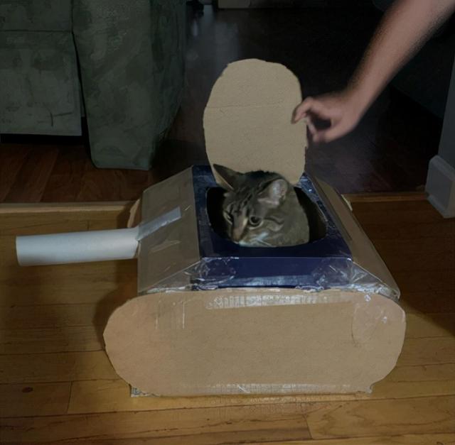 如何用最简单的材料给猫咪做玩具，如何用最简单的材料给猫咪做玩具熊（网友给家里的猫打造纸箱坦克）