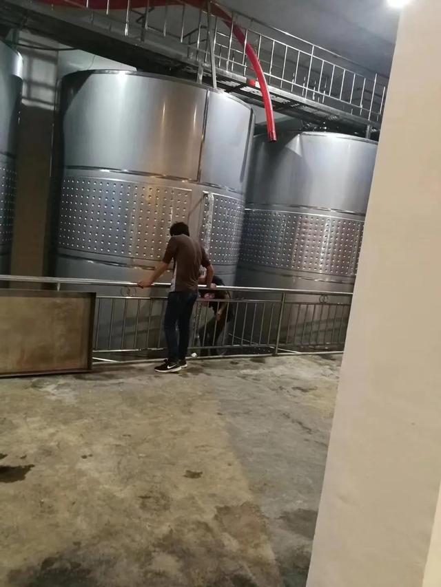 葡萄酒的酿制方法，葡萄酒的酿制方法配比（葡萄酒是如何酿造的）