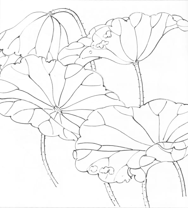 水墨画初学者入门教程，水墨画入门教程（图文教程：画水墨荷花）