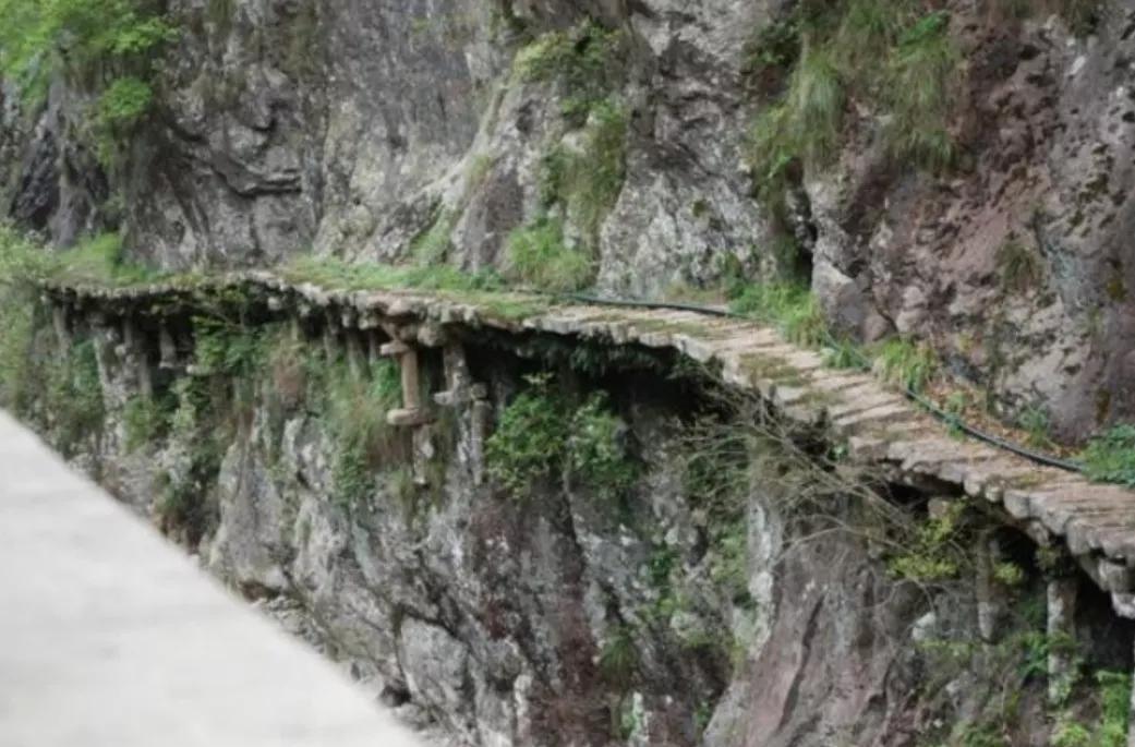 乐清市属于哪个省份，乐清是哪个省的城市（亿万老家人”浙江省—温州市—乐清市）