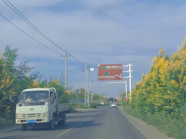 语文阅读答题技巧，语文阅读理解答题技巧（作文阅读理解的技巧和方法）