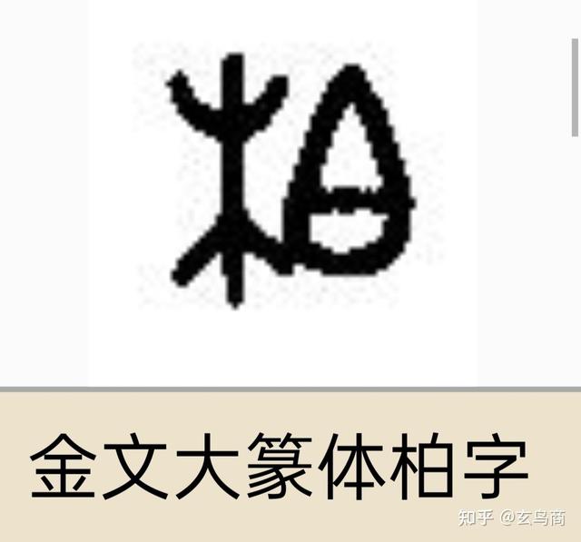 蚕丛及鱼凫指什么，蚕丛及鱼凫指的什么（蚕丛、柏濩、鱼凫）