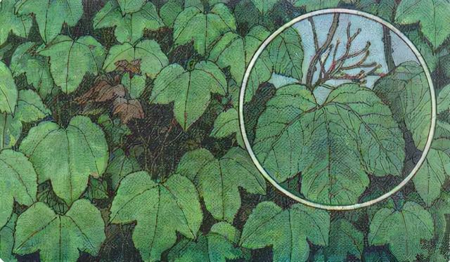 小狗画梅花小猫画什么，小狗画梅花,还有什么画什么（曾经的小学语文插图你还记得几张）