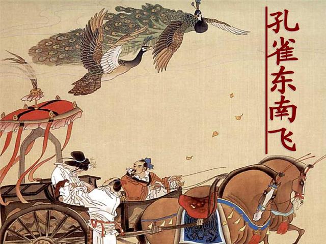 为什么孔雀东南飞，孔雀为什么东南飞（还在纠结孔雀为什么要向东南飞）