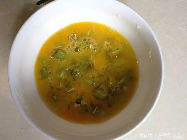 不锈钢盆可以放烤箱吗，烤箱里可以放不锈钢盆吗（10种花最养人）