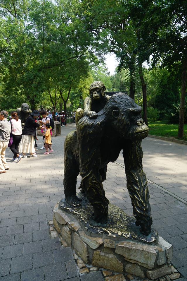 中国最大的动物园，中国动物园排名（中美动物园大PK）