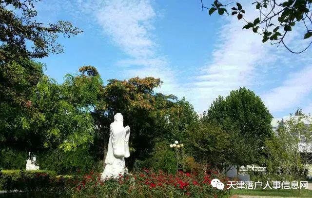 宝坻一中升学率，2019宝坻四中升学率（宝坻一中入围“北大清华认定的顶尖高中”）