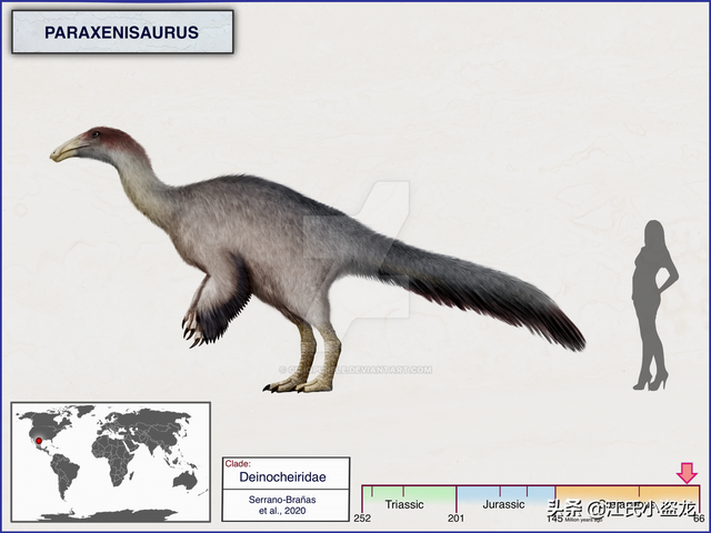 re网名的含义，Re微信昵称（2020古生物学家到底命名了多少种恐龙）