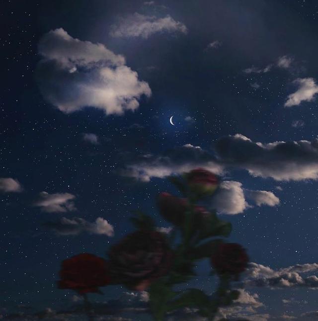 美好阳光且干净的女生头像  星空迷上了山野微信，美好阳光且干净的女生头像  星空迷上了山野，有雾有灯也有归人。（有哪些好看非人物的头像）