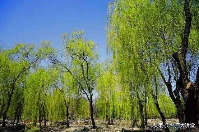 夕阳西下断肠人在天涯是什么意思，学霸们都在记这些意象的含义