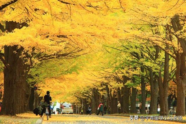 2021年日本大阪大学留学费用和条件，大阪大学留学一年费用（大阪大学医学专业方向及申请条件详解）