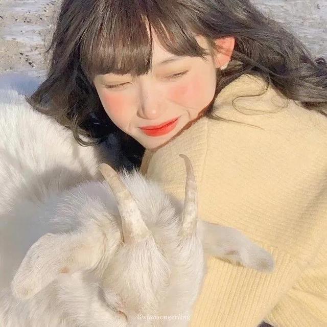 男朋友不是人系列情头一对，男朋友不是人系列了/情头微信（情侣头像，男朋友不是人系列）