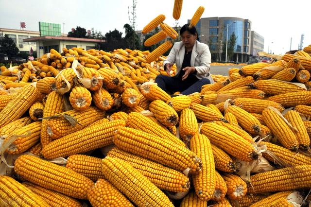 立秋会下雨吗，立秋会下雨嘛（俗语“立秋不下雨）
