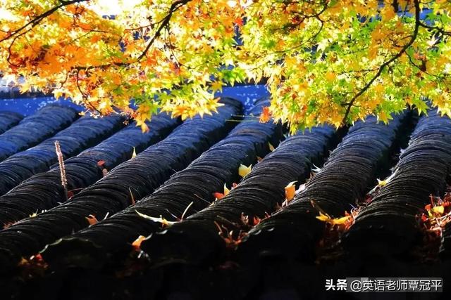 回乡偶书其一翻译，回乡偶书其一翻译简短（回乡偶书二首·其一<唐）