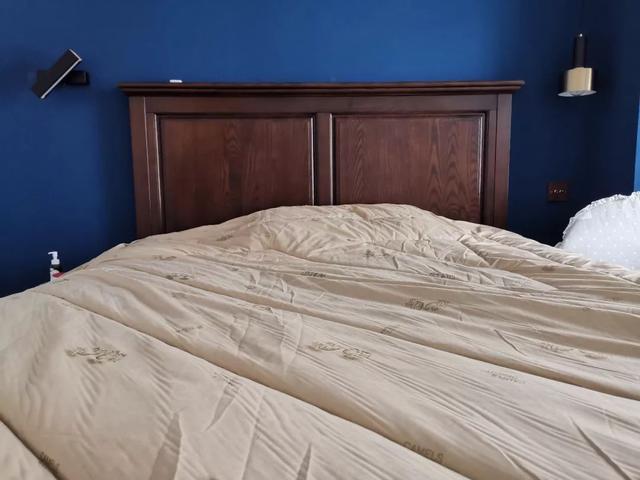 驼毛被子的优缺点，驼绒好还是羽绒被好_驼绒和羽绒被哪个好（五种常见材质被芯全方位对比）