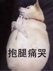 微博名字大全，微博名字大全可爱（“我每根头发都有名字”）