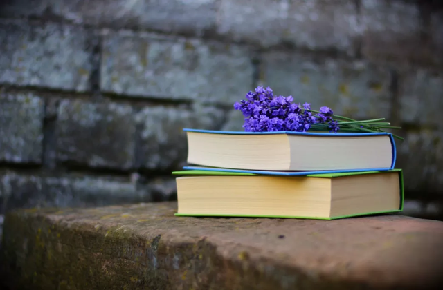 写作的捷径，写作的捷径词汇（这篇文章里藏着写作的四种捷径）