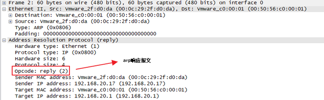 arp协议的主要功能是，arp是什么（TCP/IP协议栈及网络基础）