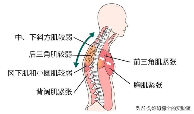 什么睡姿可以提升颜值，什么样的睡姿容易变美（有哪些可以提高颜值的小技巧）