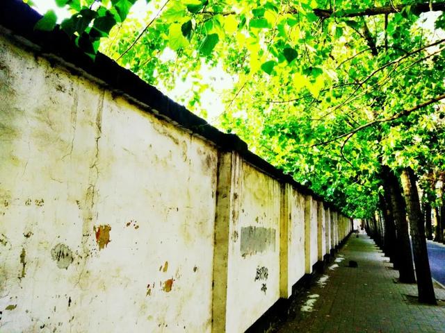 夏天的词语有哪些，关于夏天的四字词语有哪些（24个夏天的成语）