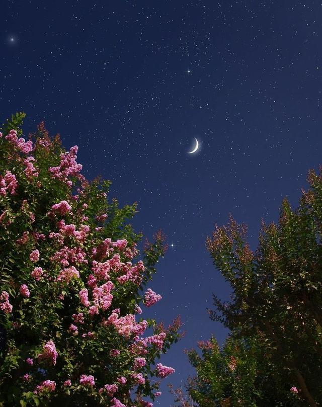 美好阳光且干净的女生头像  星空迷上了山野微信，美好阳光且干净的女生头像  星空迷上了山野，有雾有灯也有归人。（有哪些好看非人物的头像）