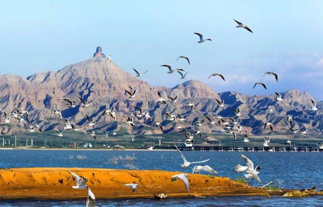 内蒙古有哪些城市，东北有哪些城市（内蒙古12个地级市）