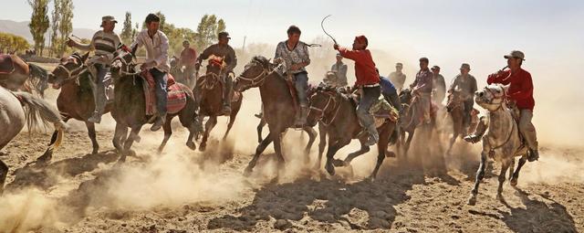 用马字组词有什么，马字组词还有什么（拍马“留序”摄影浅谈）