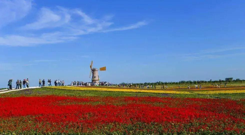 安徽大学江淮学院教务系统，安徽大学江淮学院教务系统入口（<三十七>安徽大学江淮学院）