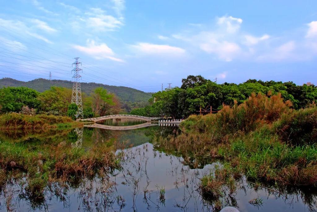 深圳石岩休闲会所（深圳十大免费特色的湖泊公园）