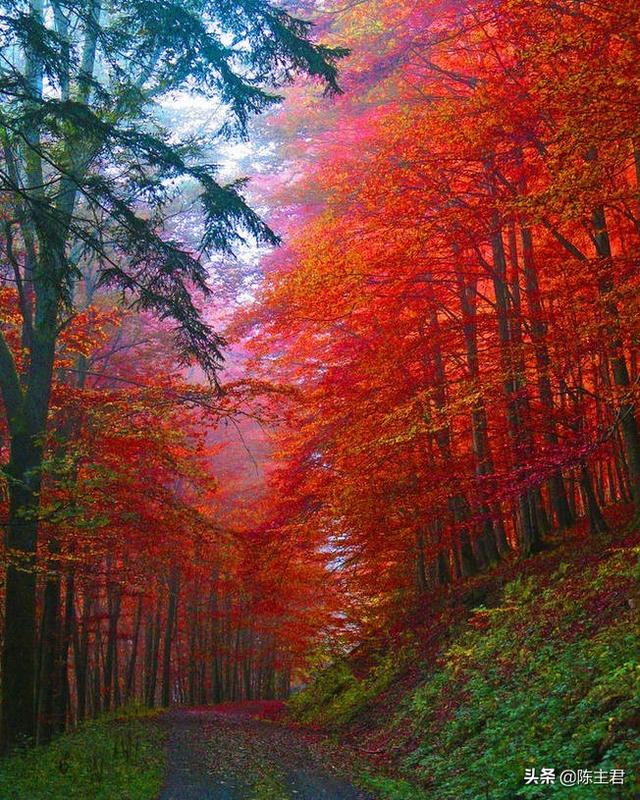 内蒙古人所说的风季是哪个季节，蒙古人的风季是什么季节（中国历史地理常识大全）