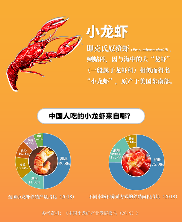 小龙虾哪里可以吃，小龙虾哪些部位可以吃（中国人吃小龙虾地图）