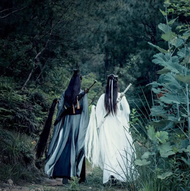 张杉杉演过电视剧，张杉杉主演电视剧（还在《枕上书》演过热巴哥哥）