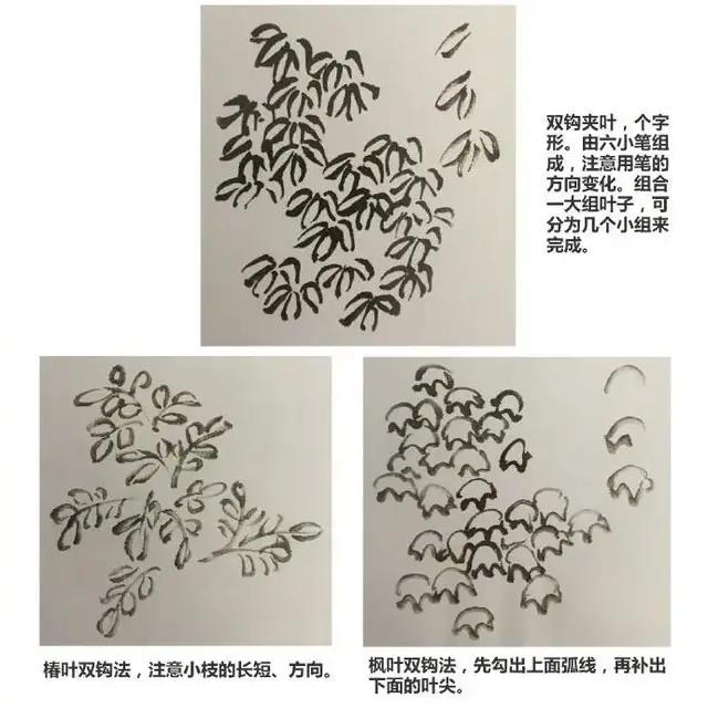 树叶的画法，树叶的画法简单（学会画国画叶子很简单）