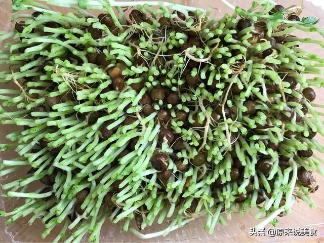 龙须菜的做法大全家常，这菜称为“龙须菜”