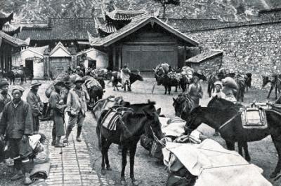 经纪人是什么意思，经济人是什么意思（经纪人协理是什么）